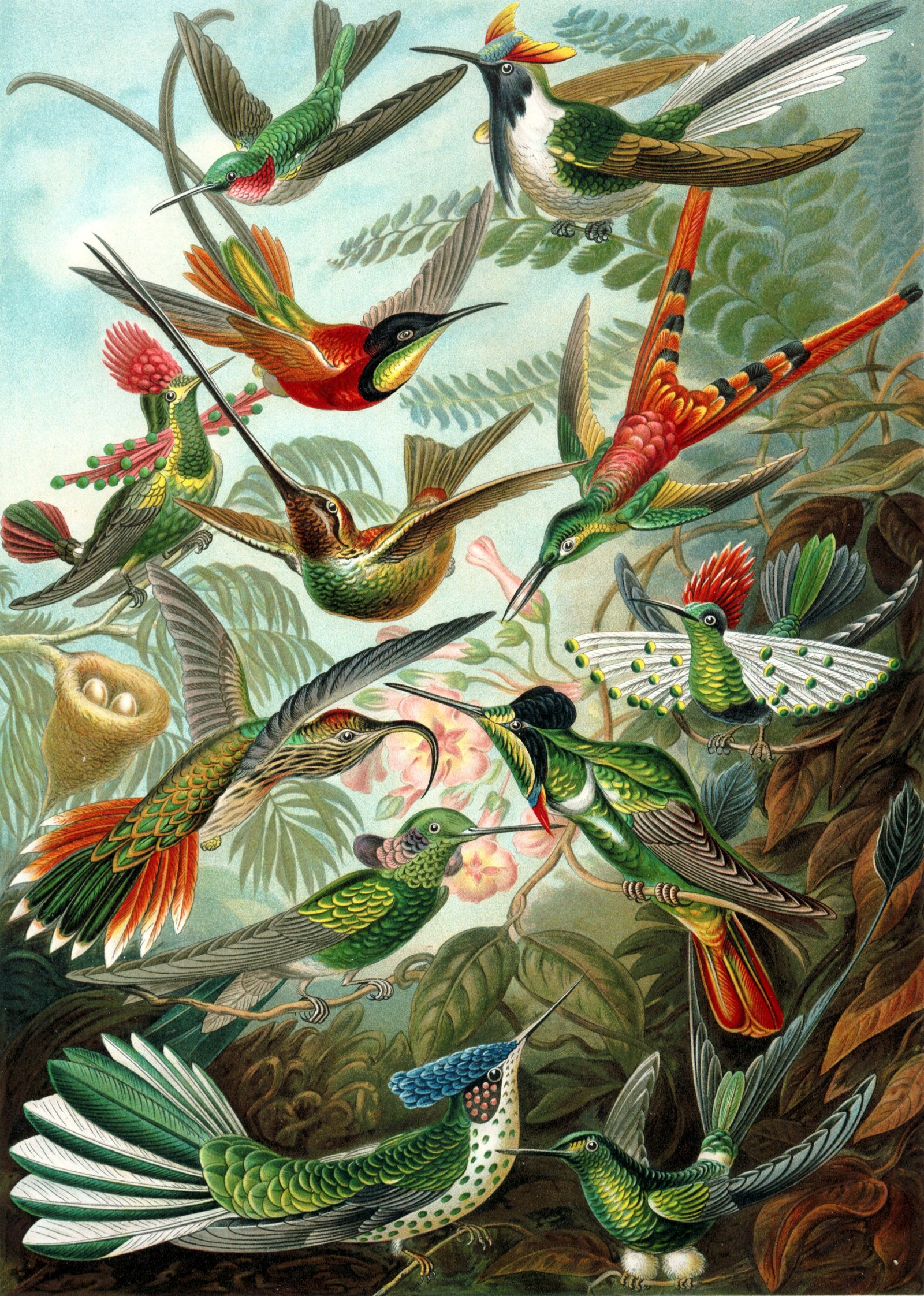 Artwork for Sexteto dos Beija-Flores